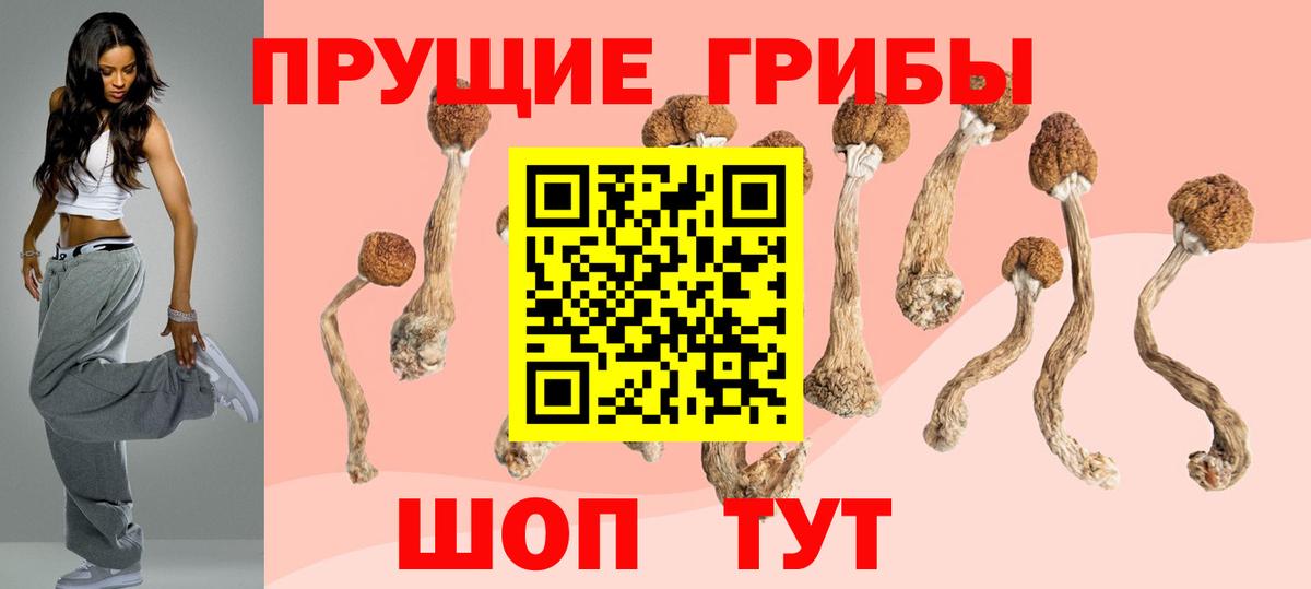 Галлюциногенные грибы Psilocybe  Вход с VPN  Псилоцибиновые грибы MAGIC MUSHROOMS  Борисоглебск 