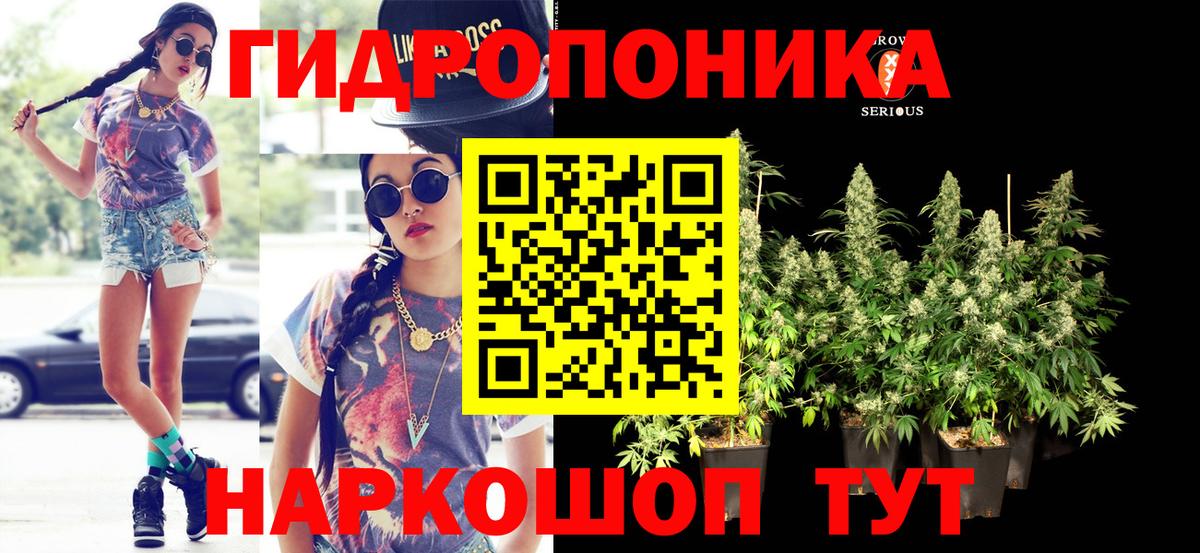 МАРИХУАНА семена Борисоглебск